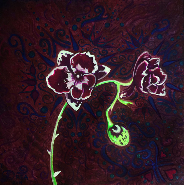 Fluorescent Orchid
