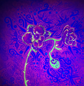 Fluorescent Orchid - Black Light